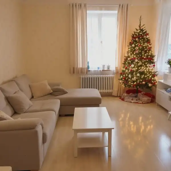 Генеральная уборка перед Новым годом в квартире - после уборки